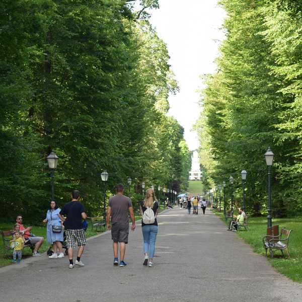 a group of people walking down a tree lined path in a park