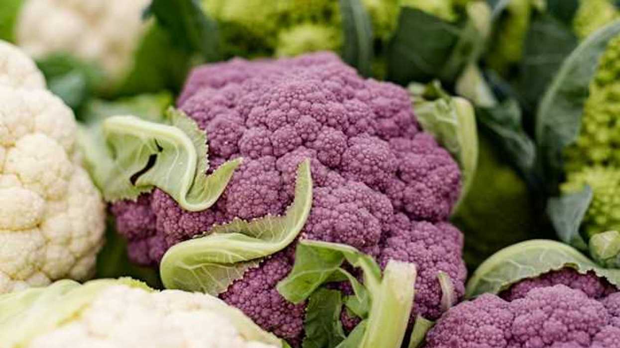 A group of white and purple cauliflower