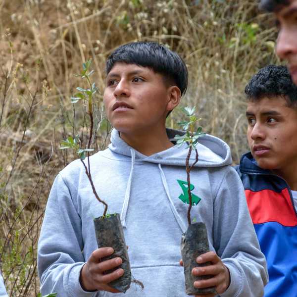 a group of young men standing next to each other holding saplings.