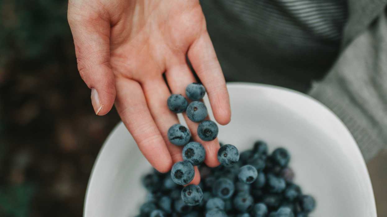 A hand putting blueberries in a white bowl.