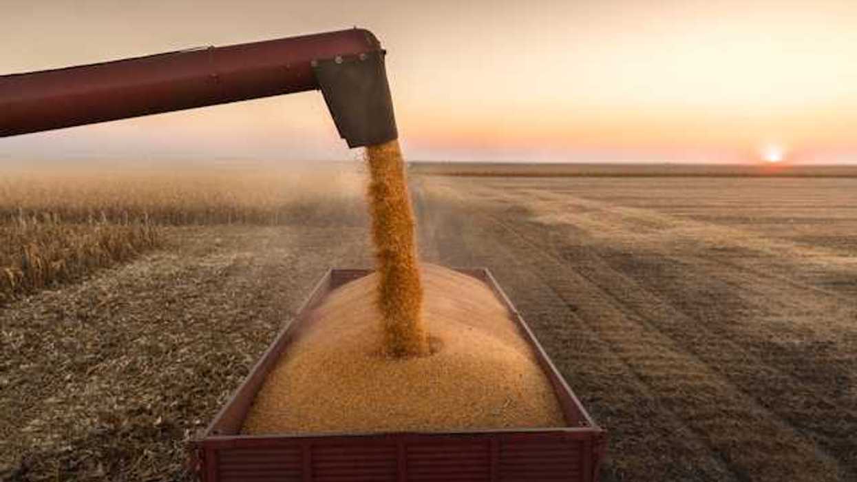 A harvester dumping grain into a farm container in a field
