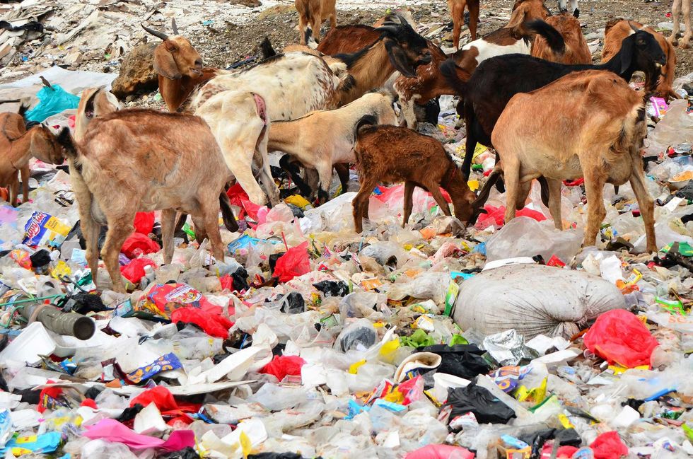 'Unofficial' talks on plastic pollution treaty to begin in Japan