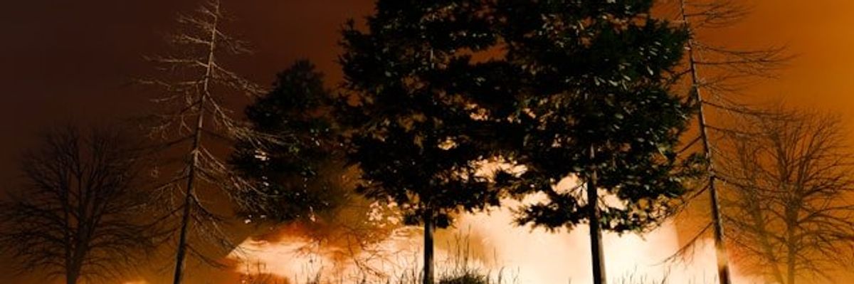 A hillside and forest with an approaching wildfire.