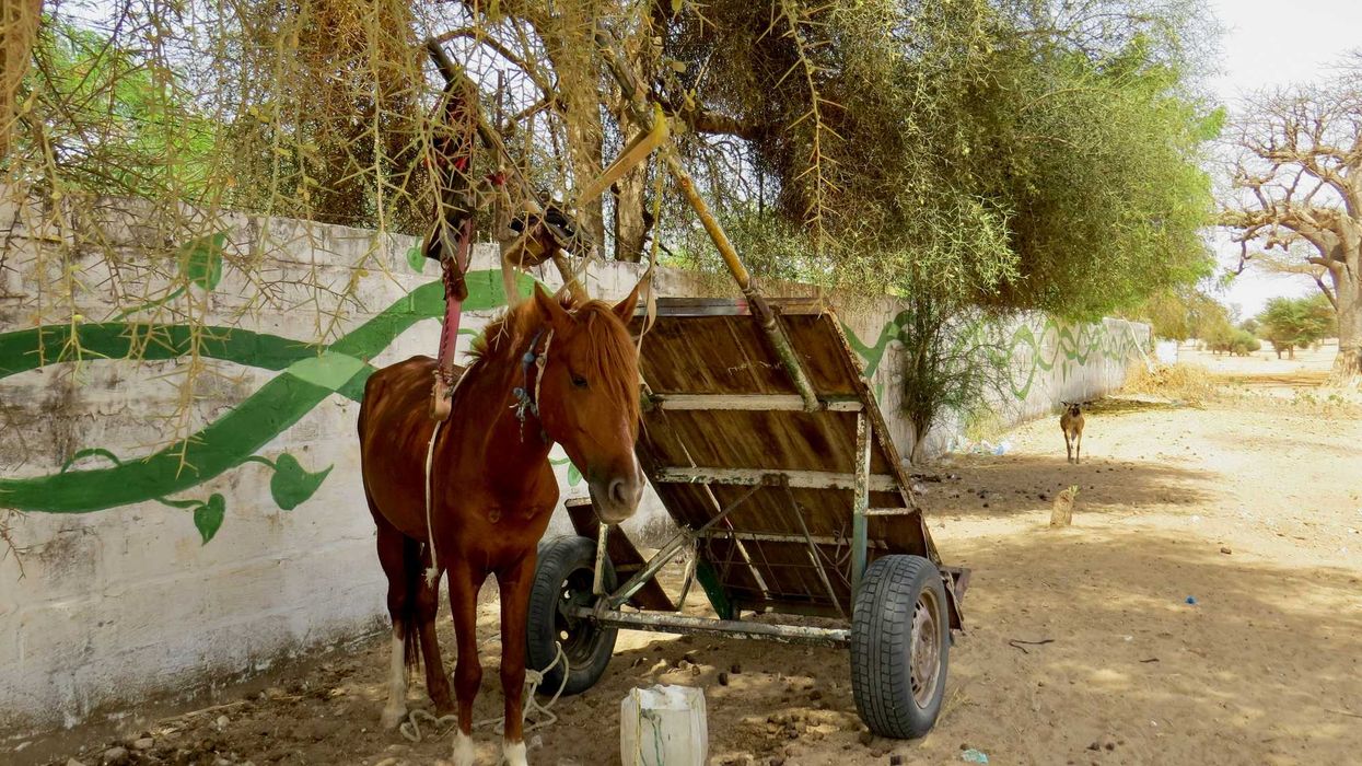 a horse pulling a cart.