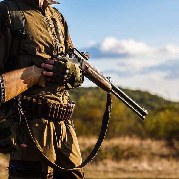 A hunter carrying a rifle in a wooded setting