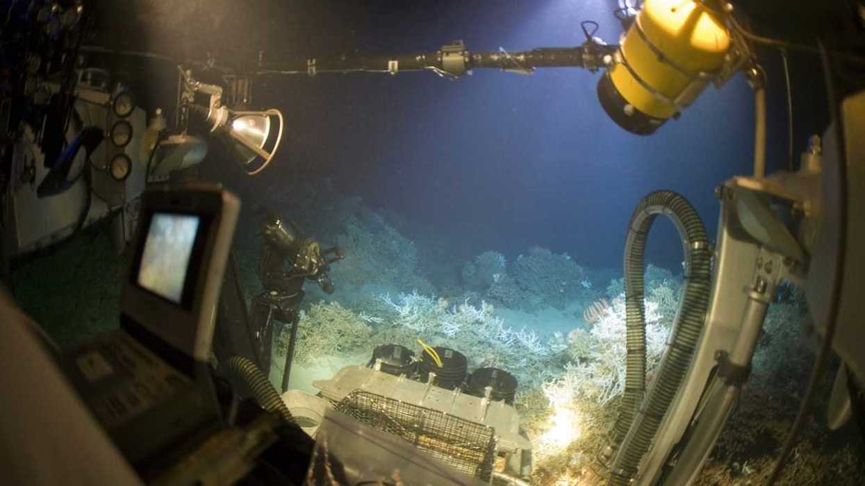 A JSL submersible offers a panoramic view of the underwater world.