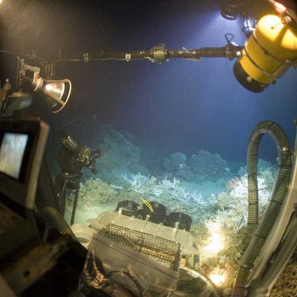 A JSL submersible offers a panoramic view of the underwater world.