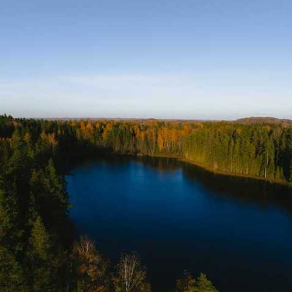 A lake surrounded by thick forests
