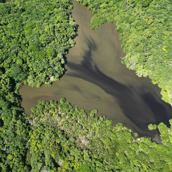 a large body of water with a dark streak surrounded by trees.