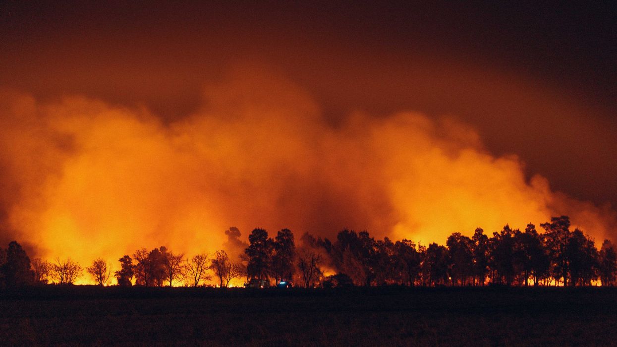 a large fire burning in a field next to a forest, illuminating the night sky orange.
