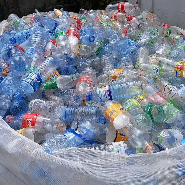 a large number of used plastic bottles in a bag