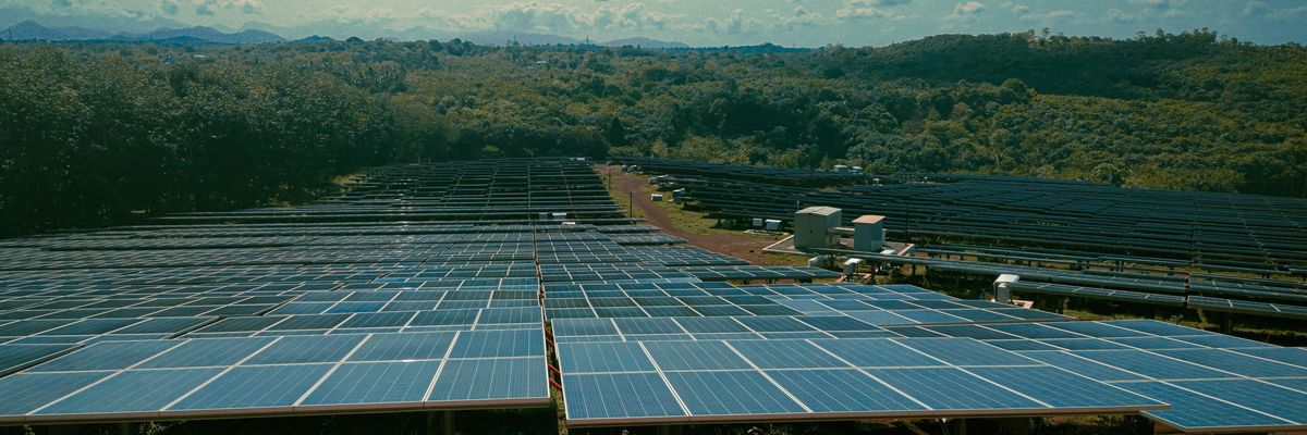 a large solar farm with many rows of solar panels.