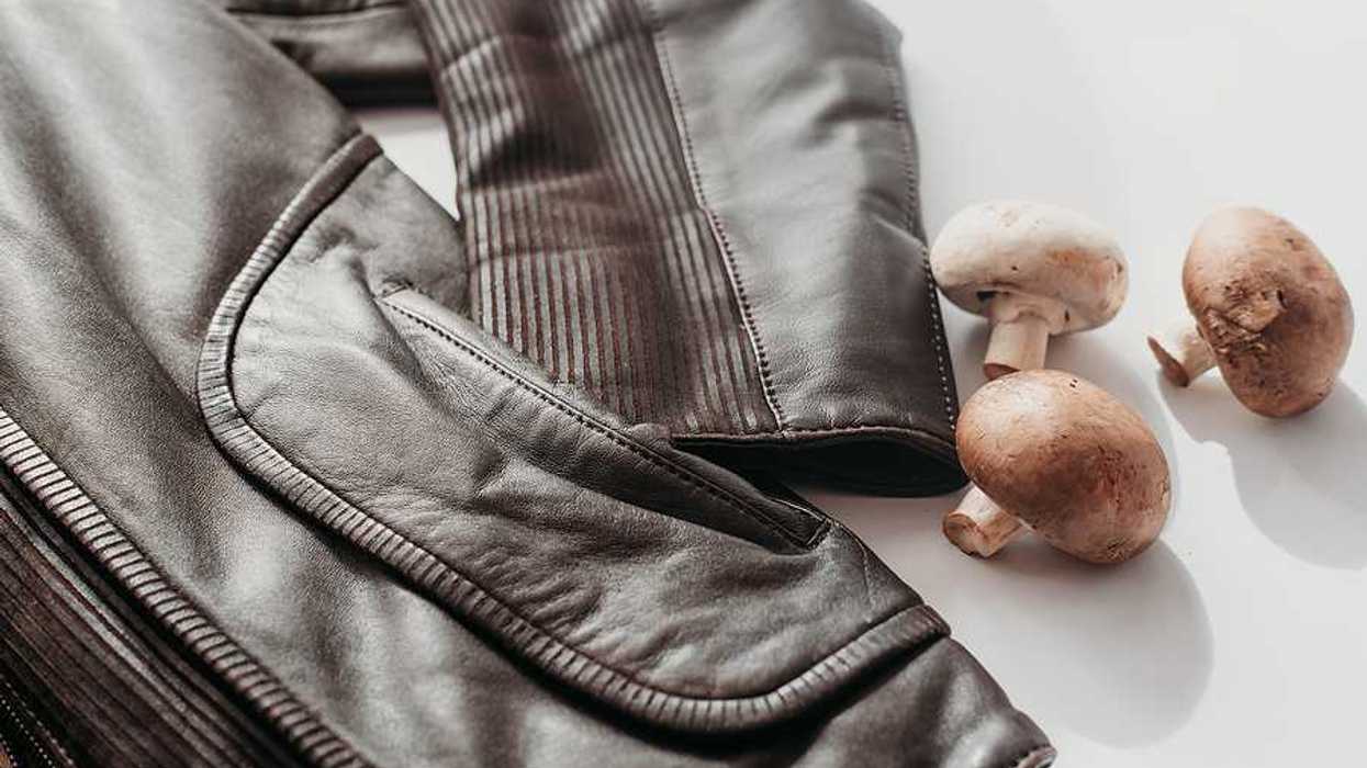 A leather jacket sitting next to three mushrooms on a white surface