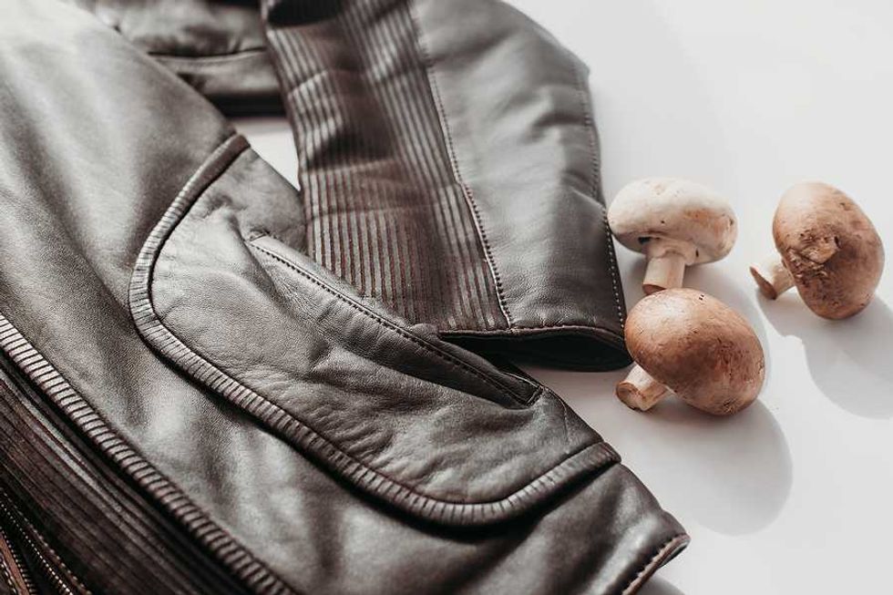 Mushroom leather may finally be ready for mass production