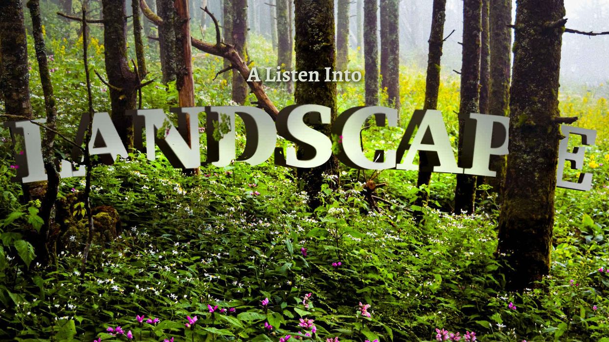 a Listen into Landscape