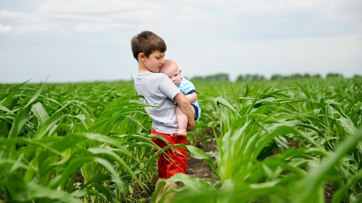 A little boy holds a baby while standing in a field of young corn.