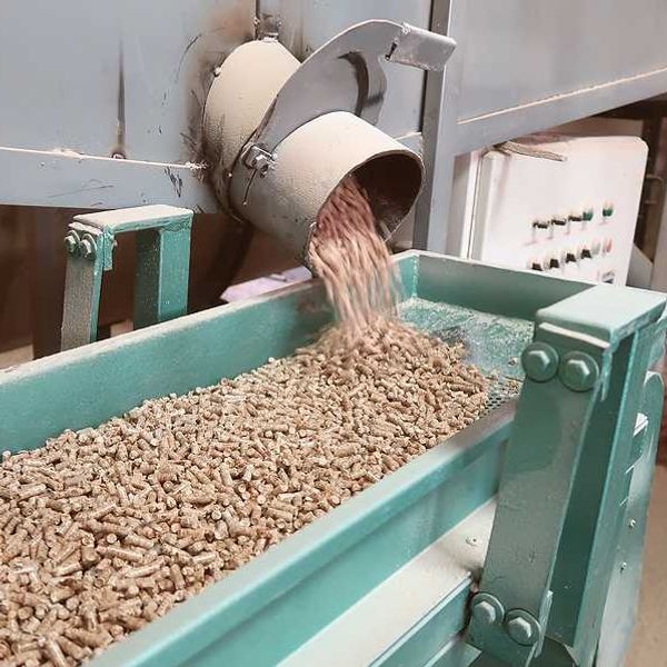 A machine dropping wood pellets into a green metal trough