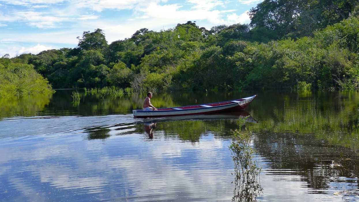 a man in a red and white boat on a river with a rainforest in background.