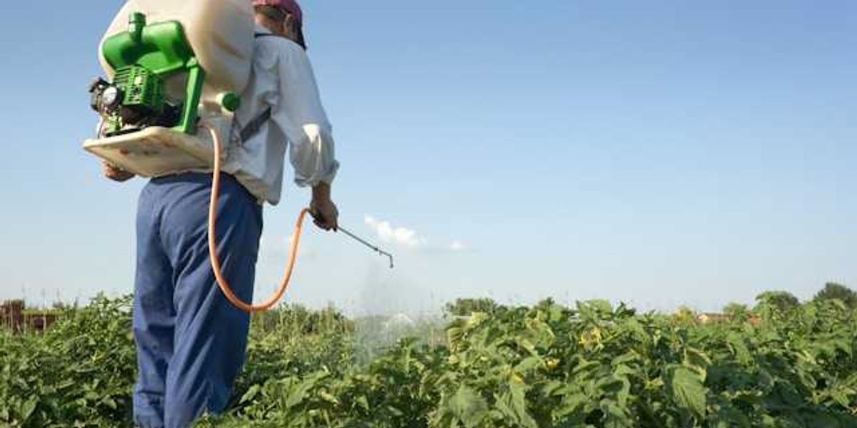 photo of WATCH: Parkinson’s and pesticides - Inside the fight over paraquat image