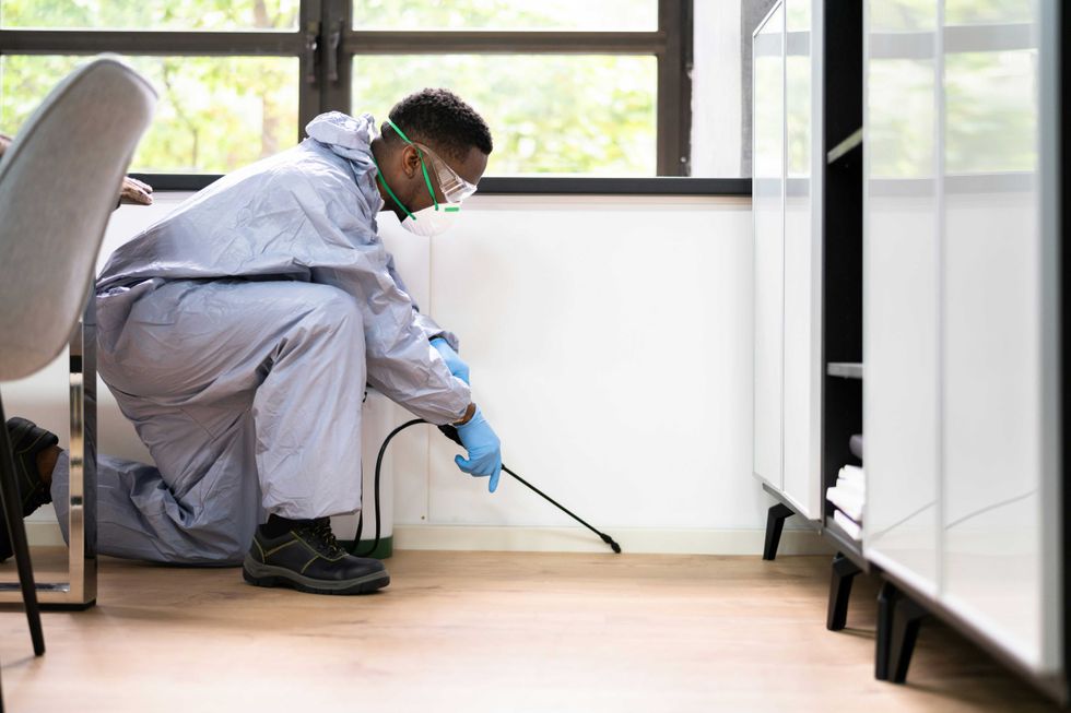U.S. children have widespread pesticide exposure