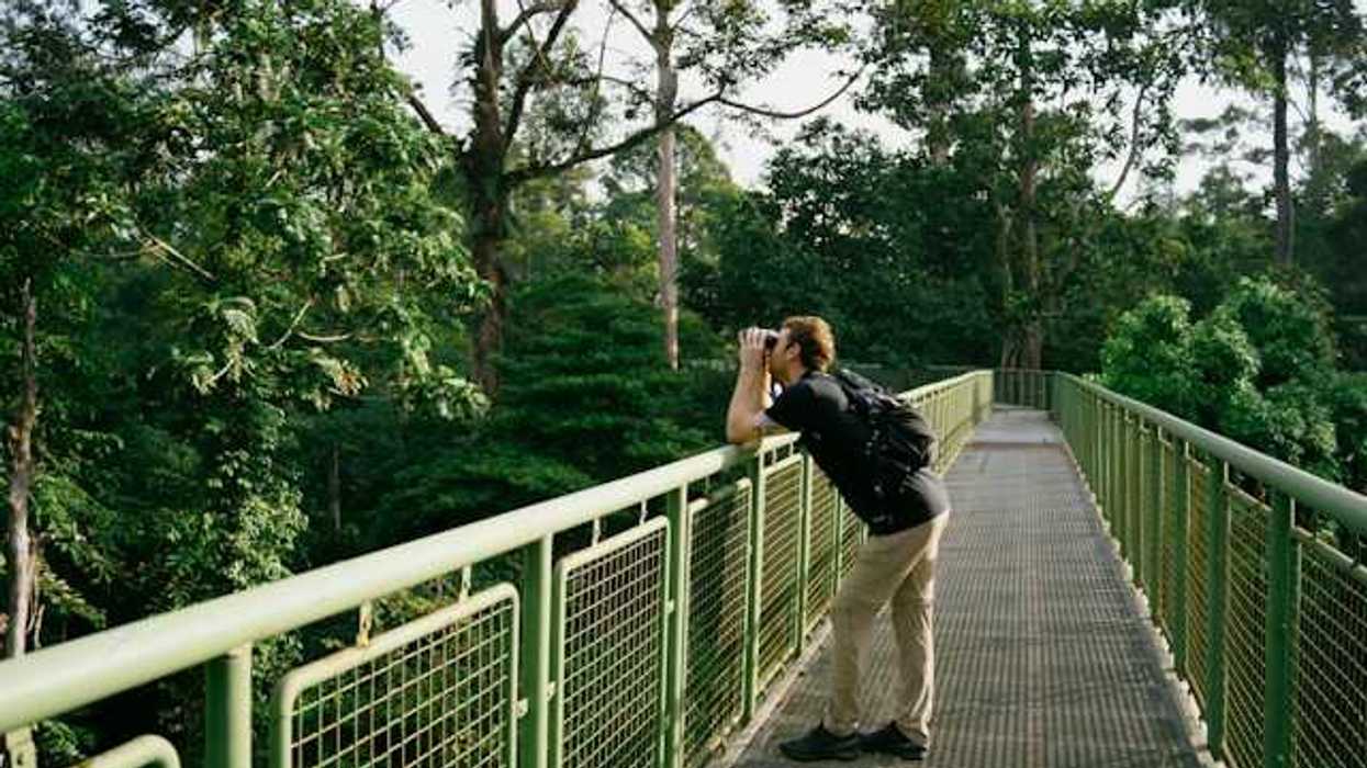 A man standing on a bridge using binoculars to view things in the trees