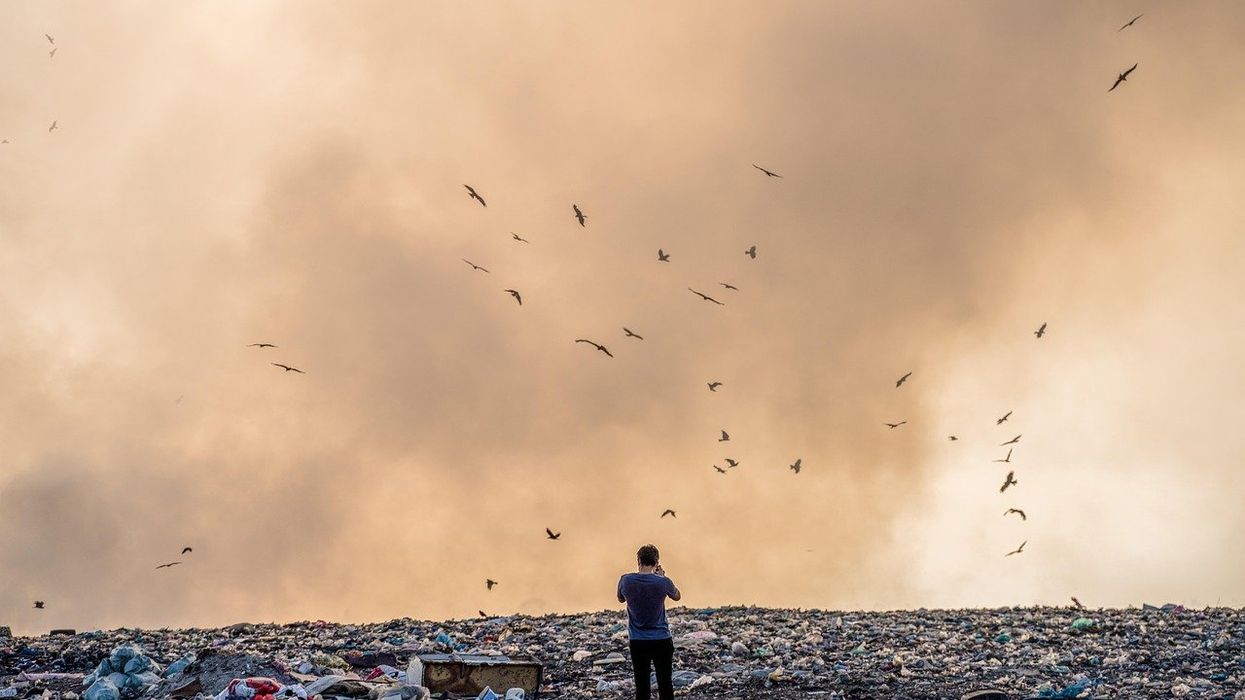 A man stands in the middle of a landfill. Birds fly over mountains of garbage.