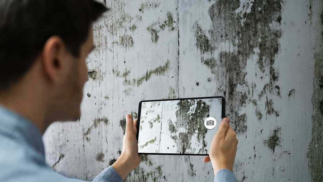 A man taking a photo of a wall covered in mold