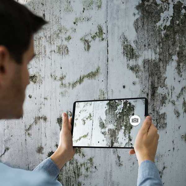 A man taking a photo of a wall covered in mold