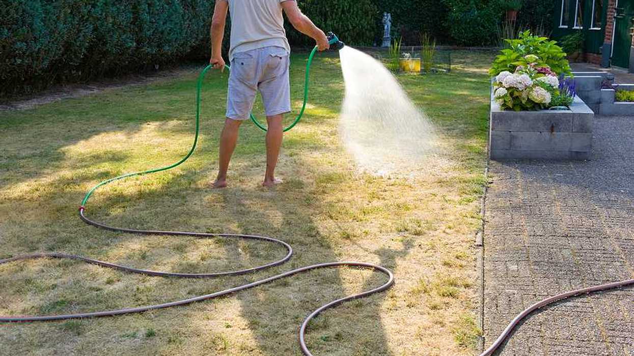 A man using a hose to water a lawn