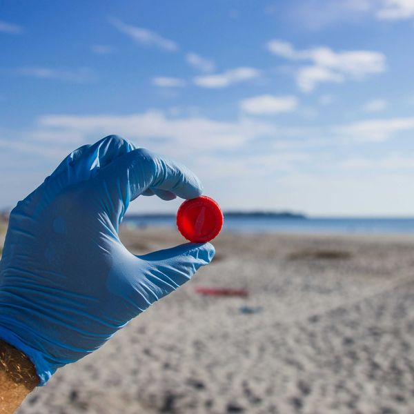 A man wearing a blue glove holding a plastic bottle cap on a beach