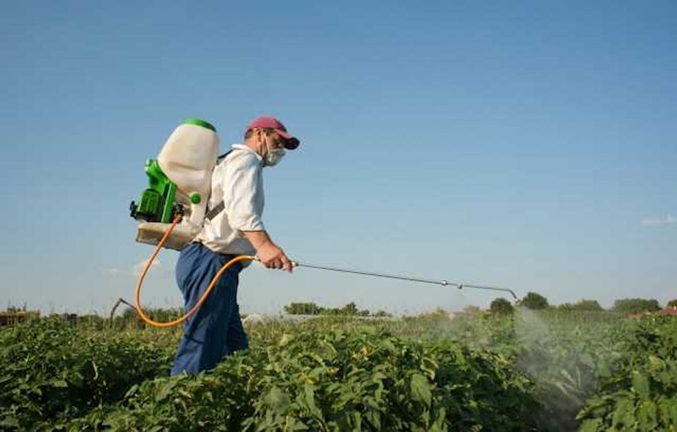 As EPA shrugs, California designates atrazine weed killer as cancer risk