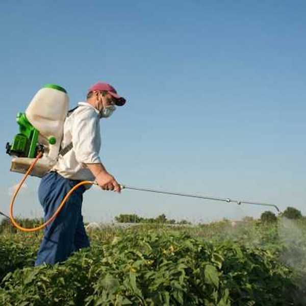 A man wearing a bucket on his back spraying weedkiller on a field