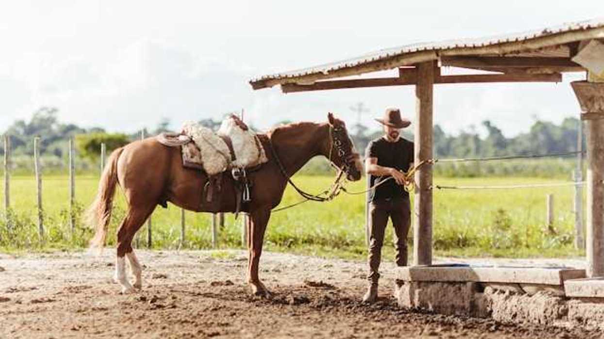A man wearing a cowboy hat standing next to a horse with green fields in the background