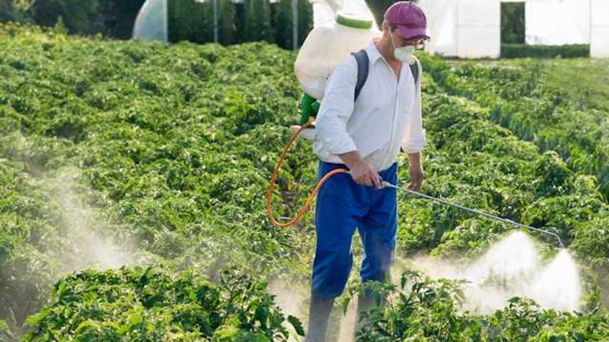 A man wearing a face mask spraying pesticides on a farm field