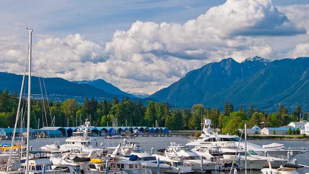 A marina with boats and a forest and mountains in the background