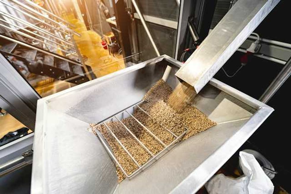 ‘Clean’ energy: Bioenergy's claims challenged
