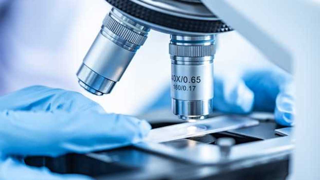 A microscope being examined by a person wearing blue plastic gloves
