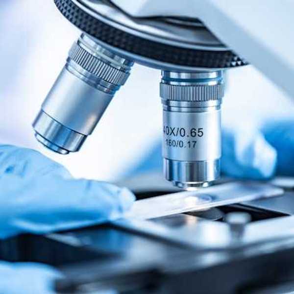 A microscope being examined by a person wearing blue plastic gloves