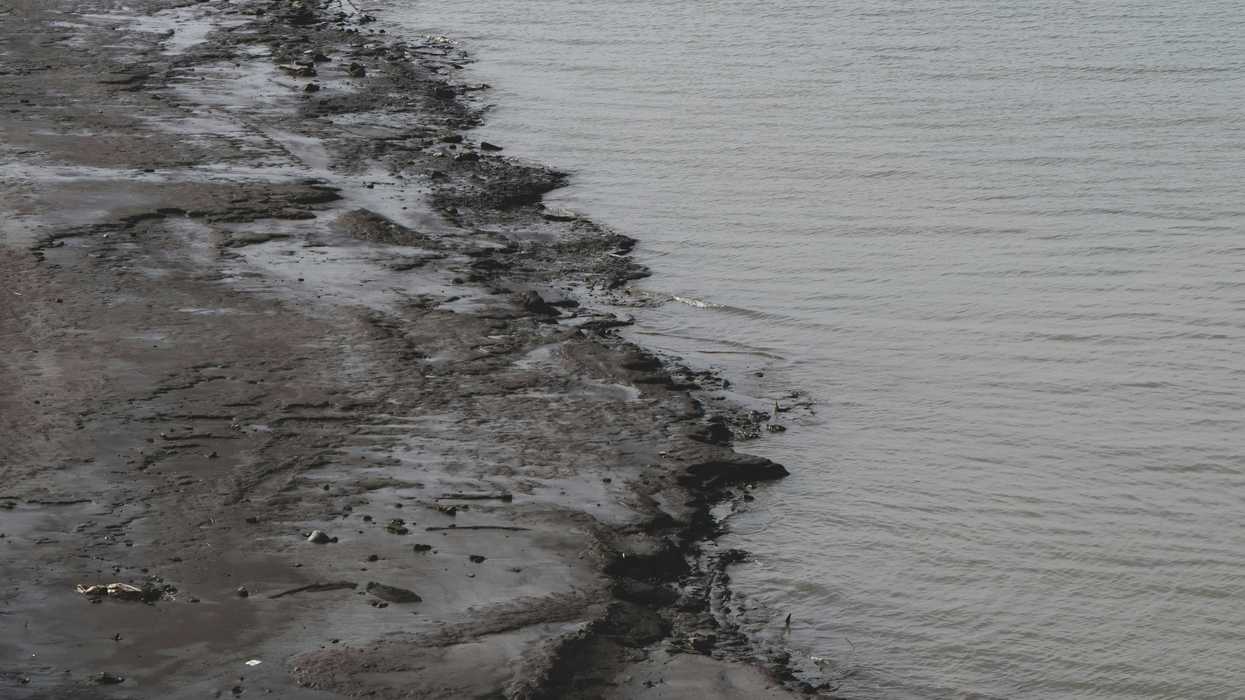 A muddy looking beach contaminated with a dark substance at the shoreline.