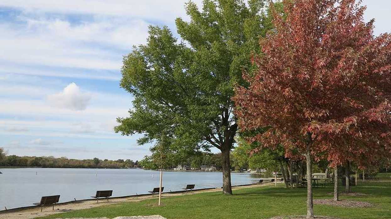 A park along a riverbank with benches and trees