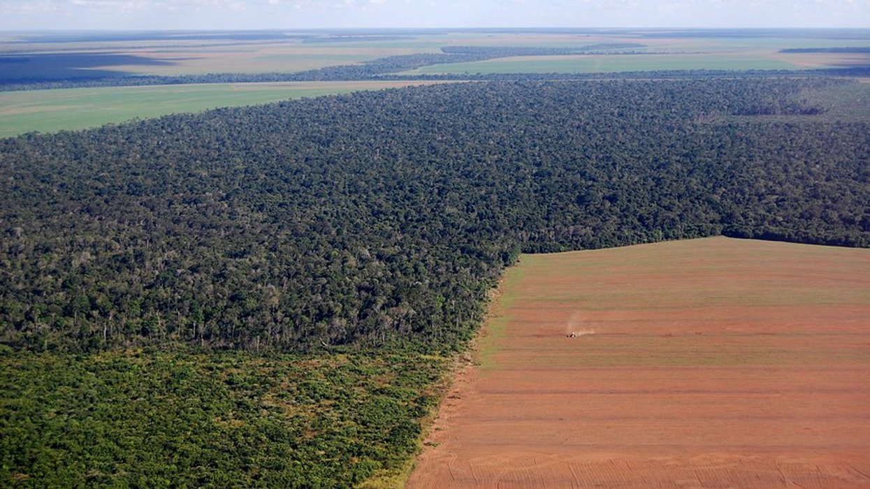 Trump’s China tariffs drive up Brazil soy farming and Amazon ...