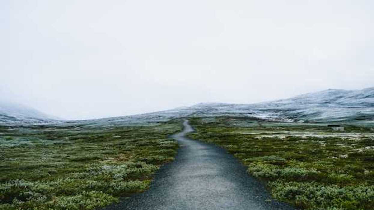 A path through low bushes with snowy hills in the background