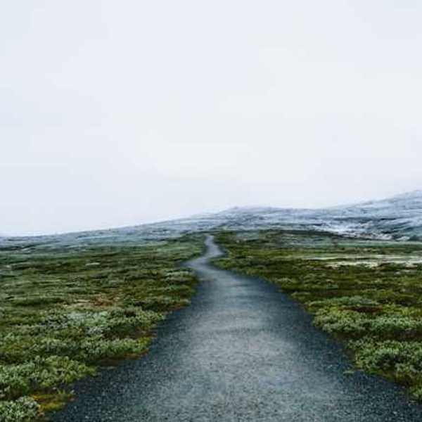 A path through low bushes with snowy hills in the background