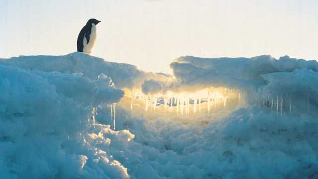 photo of Antarctica is releasing mercury faster than ever because of climate change image