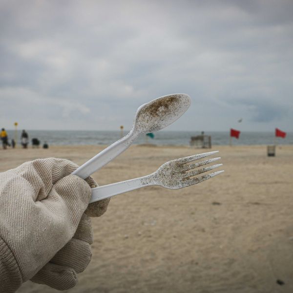 A person cleans up discarded plastic tableware on a beach