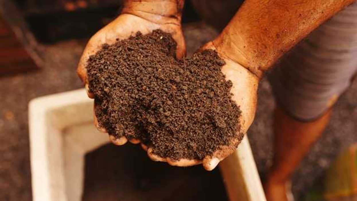 A person holding a pile of organic soil in his hands