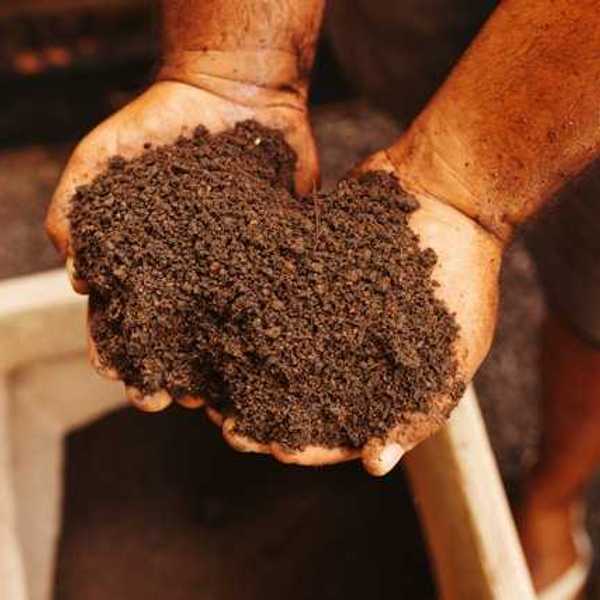 A person holding a pile of organic soil in his hands