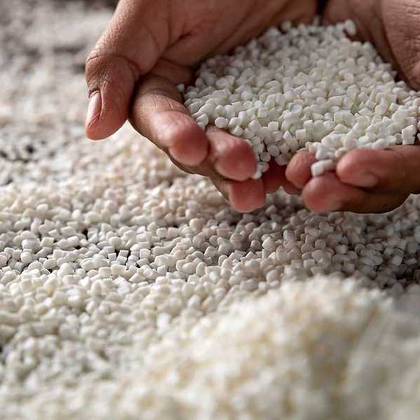 A person holding a pile of small white plastic pellets