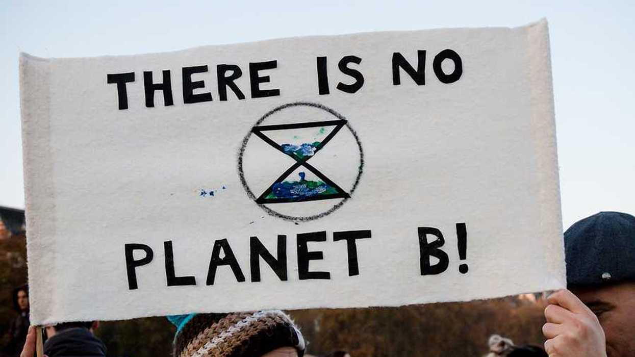 A person holding a sign at a protest saying There is no planet b!