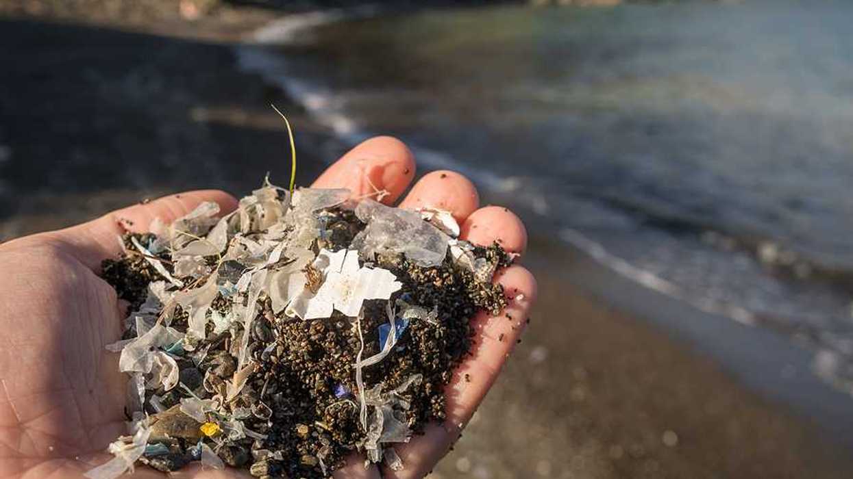 A person holding sand and plastic bits of waste in their hand on a beach